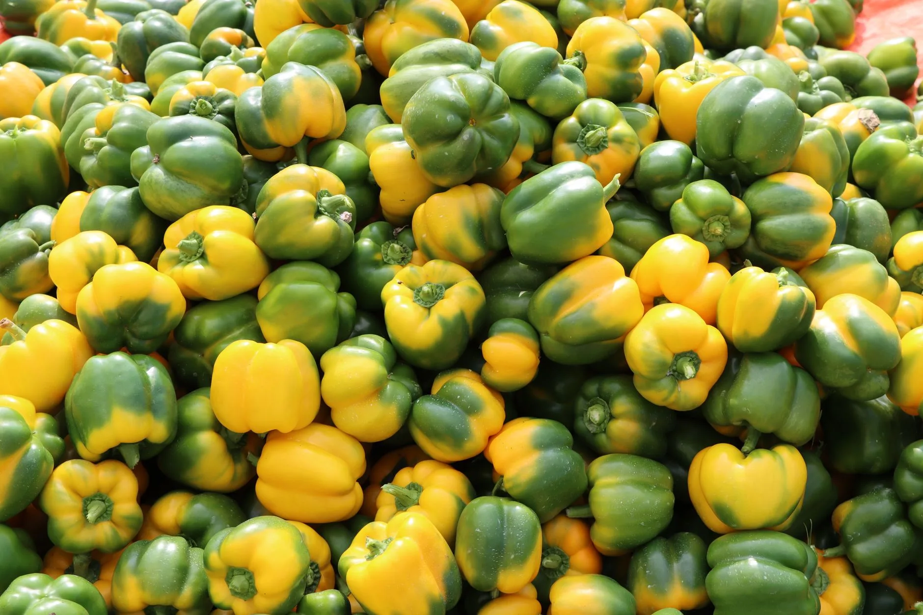 Cuisiner soi-même : marchés et supermarchés