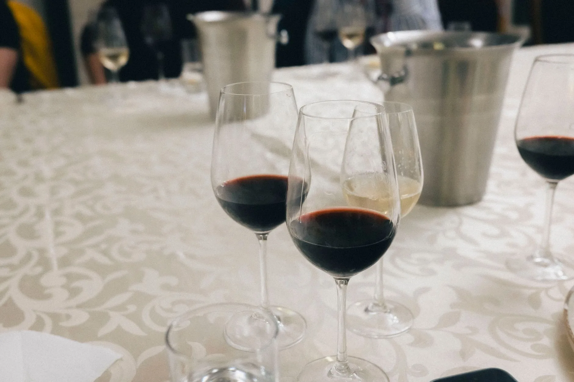 Comment déguster le vin albanais sur place